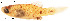  ( - stri-12477)  @13 [ ] Unspecified (default): All Rights Reserved  Unspecified Unspecified