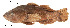  ( - stri-12551)  @14 [ ] Unspecified (default): All Rights Reserved  Unspecified Unspecified