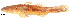  ( - stri-1337)  @13 [ ] Unspecified (default): All Rights Reserved  Unspecified Unspecified