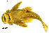  ( - stri-1377)  @11 [ ] Unspecified (default): All Rights Reserved  Unspecified Unspecified