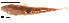  ( - stri-15207)  @12 [ ] Unspecified (default): All Rights Reserved  Unspecified Unspecified