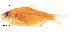  ( - stri-15243)  @14 [ ] Unspecified (default): All Rights Reserved  Unspecified Unspecified