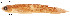  ( - stri-16185)  @13 [ ] Unspecified (default): All Rights Reserved  Unspecified Unspecified