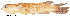  ( - stri-16198)  @12 [ ] Unspecified (default): All Rights Reserved  Unspecified Unspecified
