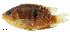  ( - stri-1660)  @14 [ ] Unspecified (default): All Rights Reserved  Unspecified Unspecified