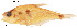  ( - stri-17718)  @14 [ ] Unspecified (default): All Rights Reserved  Unspecified Unspecified