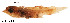 ( - stri-17827)  @13 [ ] Unspecified (default): All Rights Reserved  Unspecified Unspecified