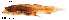  ( - stri-17827)  @12 [ ] Unspecified (default): All Rights Reserved  Unspecified Unspecified