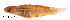  ( - stri-17827)  @12 [ ] Unspecified (default): All Rights Reserved  Unspecified Unspecified