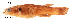  ( - stri-18610)  @12 [ ] Unspecified (default): All Rights Reserved  Unspecified Unspecified