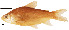  ( - stri-227)  @11 [ ] Unspecified (default): All Rights Reserved  Unspecified Unspecified