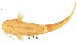  ( - stri-2686)  @12 [ ] Unspecified (default): All Rights Reserved  Unspecified Unspecified