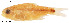  ( - stri-2885)  @12 [ ] Unspecified (default): All Rights Reserved  Unspecified Unspecified