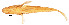  ( - stri-2890)  @14 [ ] Unspecified (default): All Rights Reserved  Unspecified Unspecified