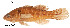  ( - stri-3036)  @14 [ ] Unspecified (default): All Rights Reserved  Unspecified Unspecified