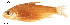  ( - stri-3043)  @15 [ ] Unspecified (default): All Rights Reserved  Unspecified Unspecified