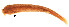  ( - stri-309)  @14 [ ] Unspecified (default): All Rights Reserved  Unspecified Unspecified