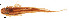  ( - stri-3434)  @11 [ ] Unspecified (default): All Rights Reserved  Unspecified Unspecified