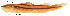  ( - stri-3434)  @11 [ ] Unspecified (default): All Rights Reserved  Unspecified Unspecified