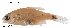  ( - stri-3538)  @12 [ ] Unspecified (default): All Rights Reserved  Unspecified Unspecified