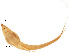  ( - stri-3554)  @13 [ ] Unspecified (default): All Rights Reserved  Unspecified Unspecified