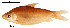  ( - stri-3612)  @14 [ ] Unspecified (default): All Rights Reserved  Unspecified Unspecified