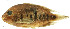  ( - stri-3623)  @14 [ ] Unspecified (default): All Rights Reserved  Unspecified Unspecified