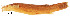  ( - stri-3660)  @14 [ ] Unspecified (default): All Rights Reserved  Unspecified Unspecified