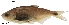  ( - stri-3708)  @11 [ ] Unspecified (default): All Rights Reserved  Unspecified Unspecified