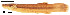 ( - stri-3722)  @14 [ ] Unspecified (default): All Rights Reserved  Unspecified Unspecified