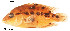  ( - stri-3783)  @14 [ ] Unspecified (default): All Rights Reserved  Unspecified Unspecified