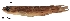  ( - stri-3805)  @13 [ ] Unspecified (default): All Rights Reserved  Unspecified Unspecified