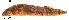  ( - stri-3894)  @14 [ ] Unspecified (default): All Rights Reserved  Unspecified Unspecified