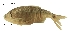  ( - stri-4139)  @13 [ ] Unspecified (default): All Rights Reserved  Unspecified Unspecified