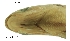  ( - stri-4139)  @13 [ ] Unspecified (default): All Rights Reserved  Unspecified Unspecified