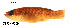  ( - stri-6309)  @13 [ ] Unspecified (default): All Rights Reserved  Unspecified Unspecified