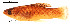  ( - stri-6316)  @13 [ ] Unspecified (default): All Rights Reserved  Unspecified Unspecified