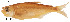  ( - stri-656)  @11 [ ] Unspecified (default): All Rights Reserved  Unspecified Unspecified