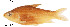  ( - stri-6731)  @14 [ ] Unspecified (default): All Rights Reserved  Unspecified Unspecified