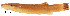  ( - stri-6754)  @12 [ ] Unspecified (default): All Rights Reserved  Unspecified Unspecified