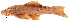  ( - stri-6772)  @13 [ ] Unspecified (default): All Rights Reserved  Unspecified Unspecified