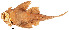  ( - stri-6772)  @13 [ ] Unspecified (default): All Rights Reserved  Unspecified Unspecified