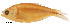  ( - stri-686)  @13 [ ] Unspecified (default): All Rights Reserved  Unspecified Unspecified