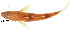  ( - stri-6871)  @12 [ ] Unspecified (default): All Rights Reserved  Unspecified Unspecified