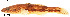  ( - stri-6871)  @14 [ ] Unspecified (default): All Rights Reserved  Unspecified Unspecified