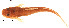  ( - stri-6873)  @13 [ ] Unspecified (default): All Rights Reserved  Unspecified Unspecified