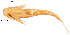  ( - stri-6873)  @12 [ ] Unspecified (default): All Rights Reserved  Unspecified Unspecified