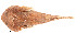  ( - stri-6943)  @12 [ ] Unspecified (default): All Rights Reserved  Unspecified Unspecified