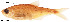  ( - stri-6988)  @14 [ ] Unspecified (default): All Rights Reserved  Unspecified Unspecified