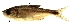  ( - stri-7088)  @14 [ ] Unspecified (default): All Rights Reserved  Unspecified Unspecified
